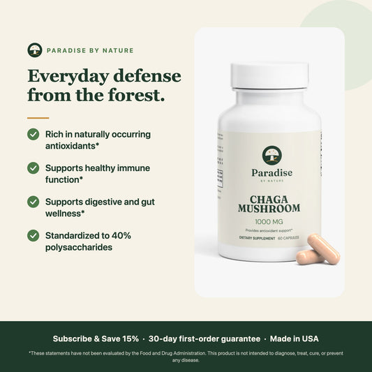 Chaga Mushroom Capsules benefits: rich in antioxidants, supports healthy immune function and digestive wellness