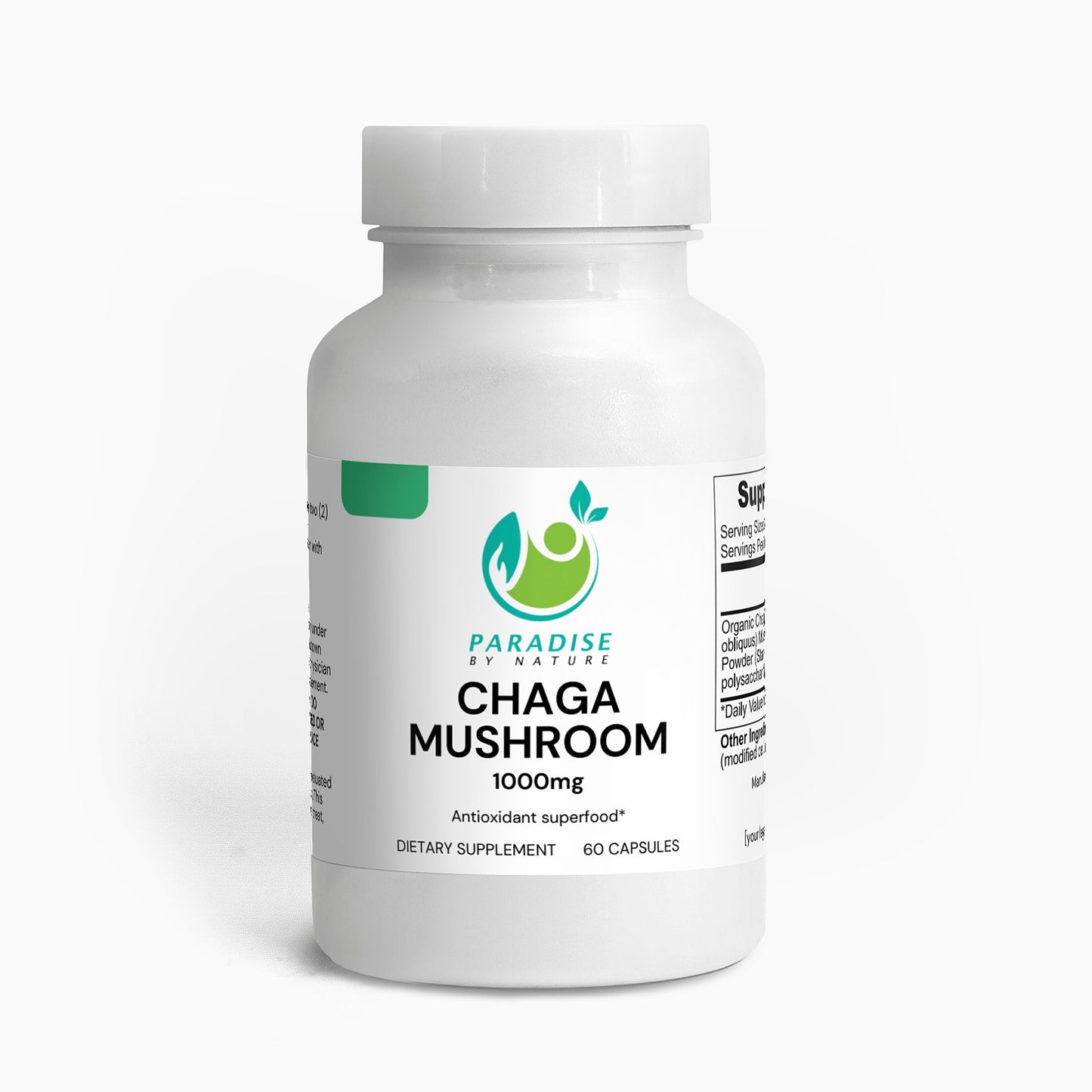Chaga Mushroom