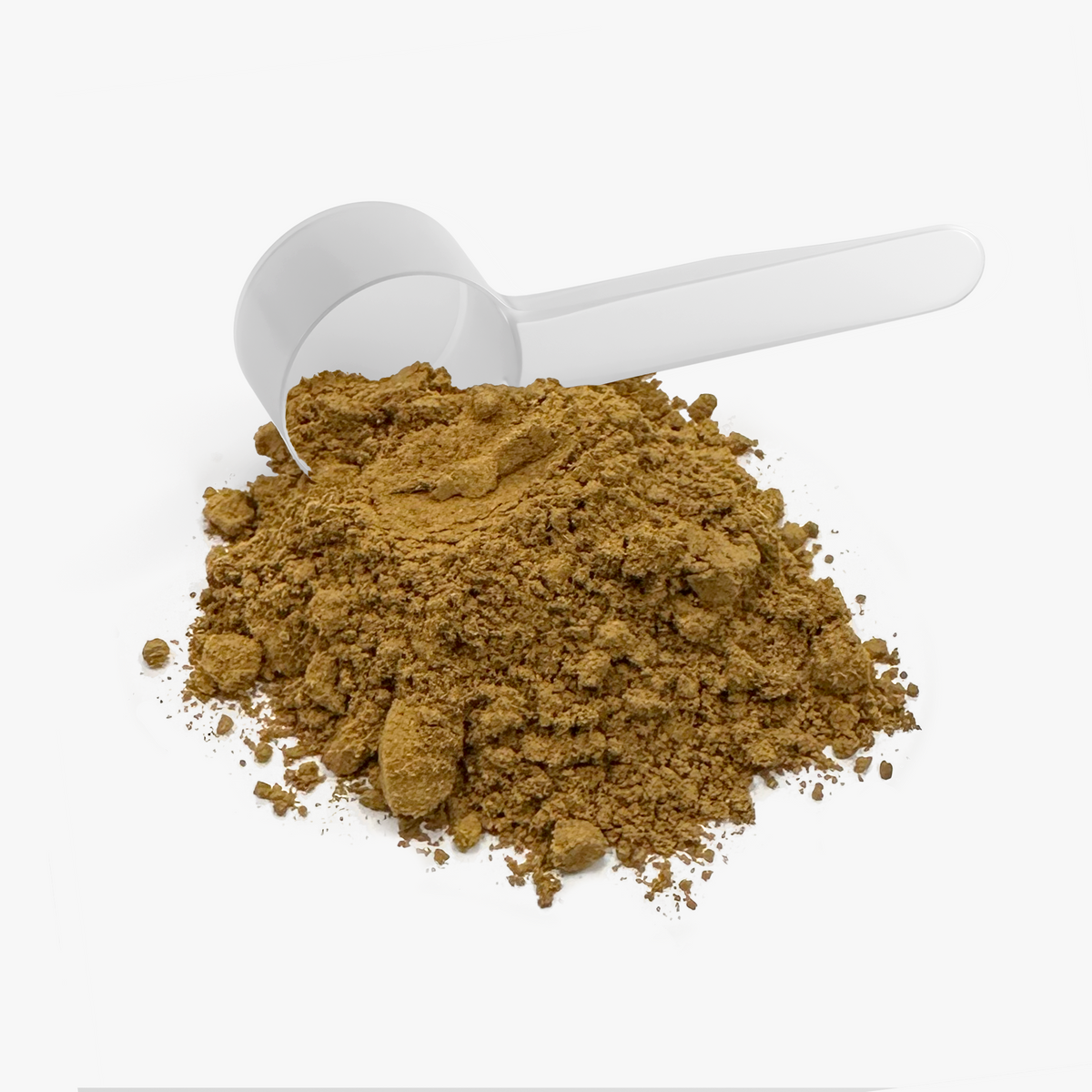 Instant mushroom coffee powder with a measuring scoop