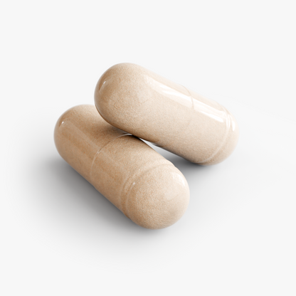 Close-up of two ashwagandha capsules